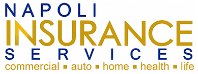 Anthony Napoli Insurance Agency Logo